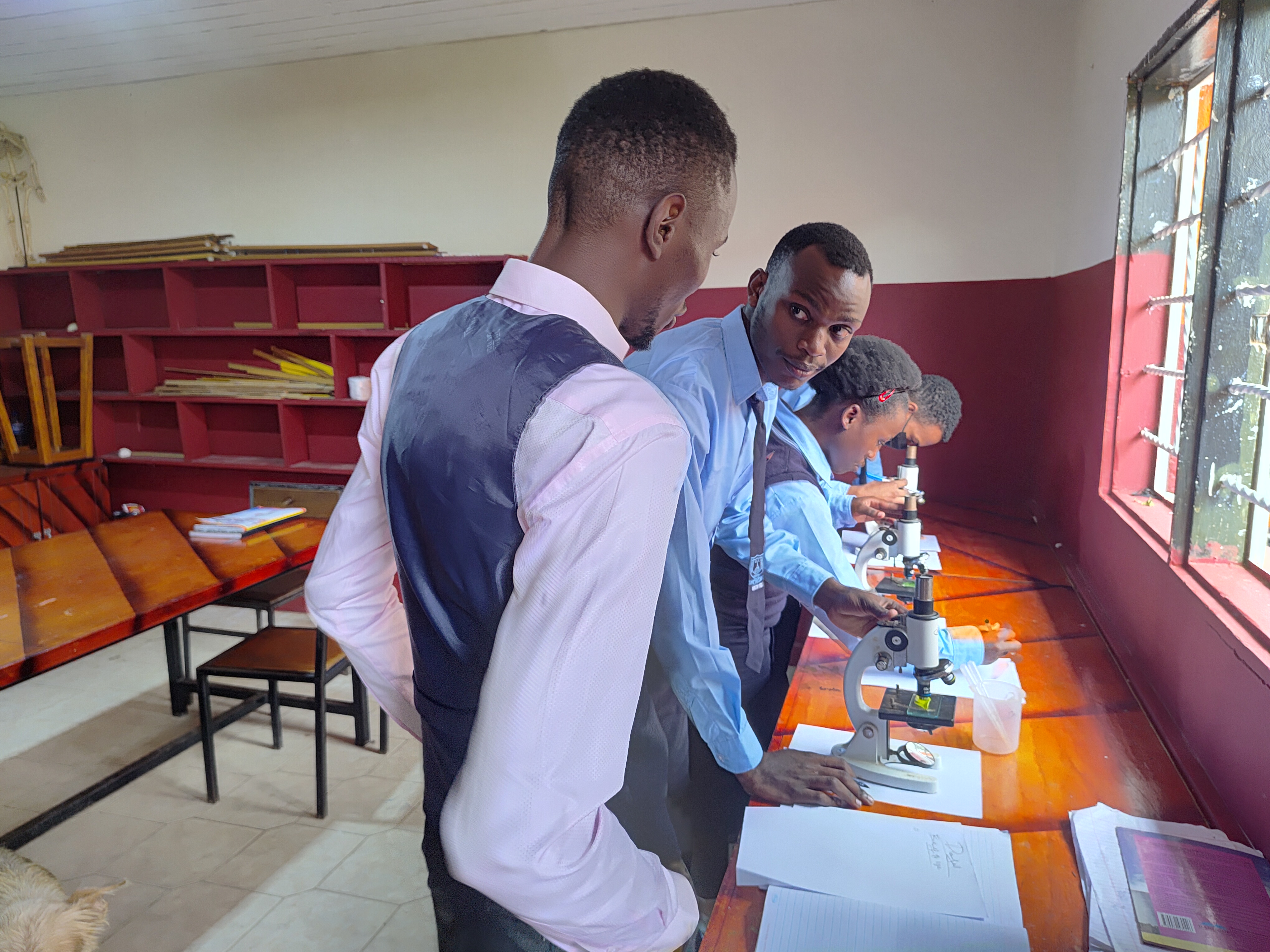 Practical Biology lesson: Using microscopes to study cell structure.